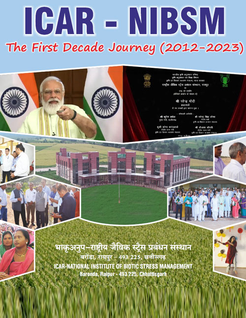 The First Decade Journey (2012-23)