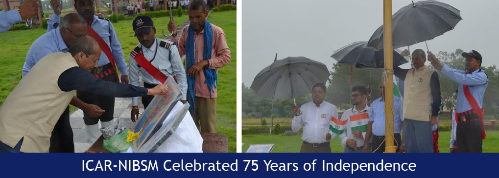 ICAR-NIBSM Celebrated 75 Years of Independence