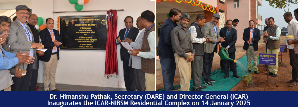 Dr. Himanshu Pathak, Secretary (DARE) and Director General (ICAR) inaugurates the ICAR-NIBSM Residential Complex on 14 January 2025