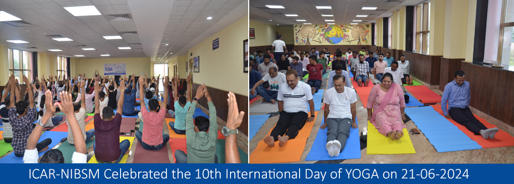 ICAR-NIBSM Celebrated the 10th International Day of YOGA on 21-06-2024