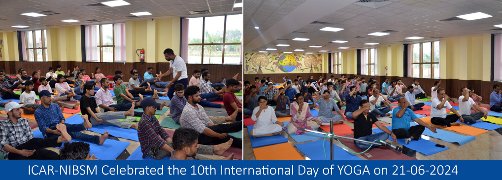 ICAR-NIBSM Celebrated the 10th International Day of YOGA on 21-06-2024