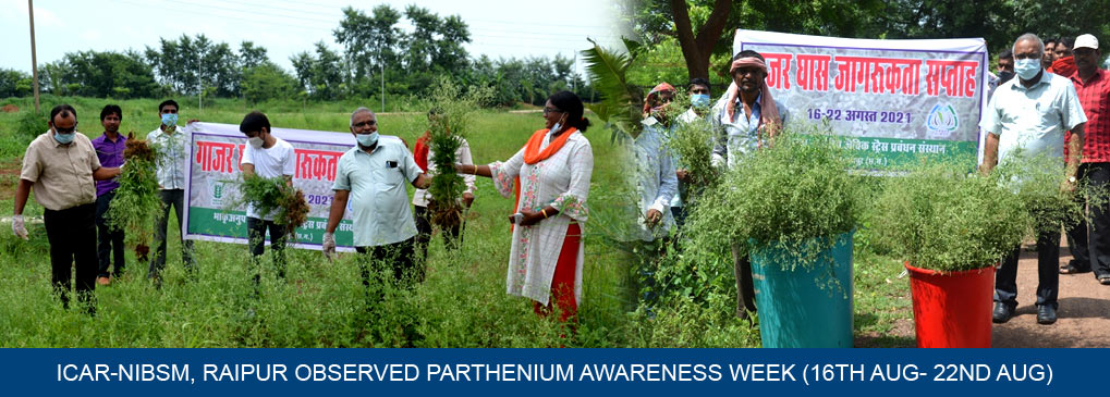 ICAR-NIBSM,Raipur observed Parthenium awareness week (16th Aug- 22nd Aug)